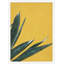 Agave Color 4 Print by Nathan Turner