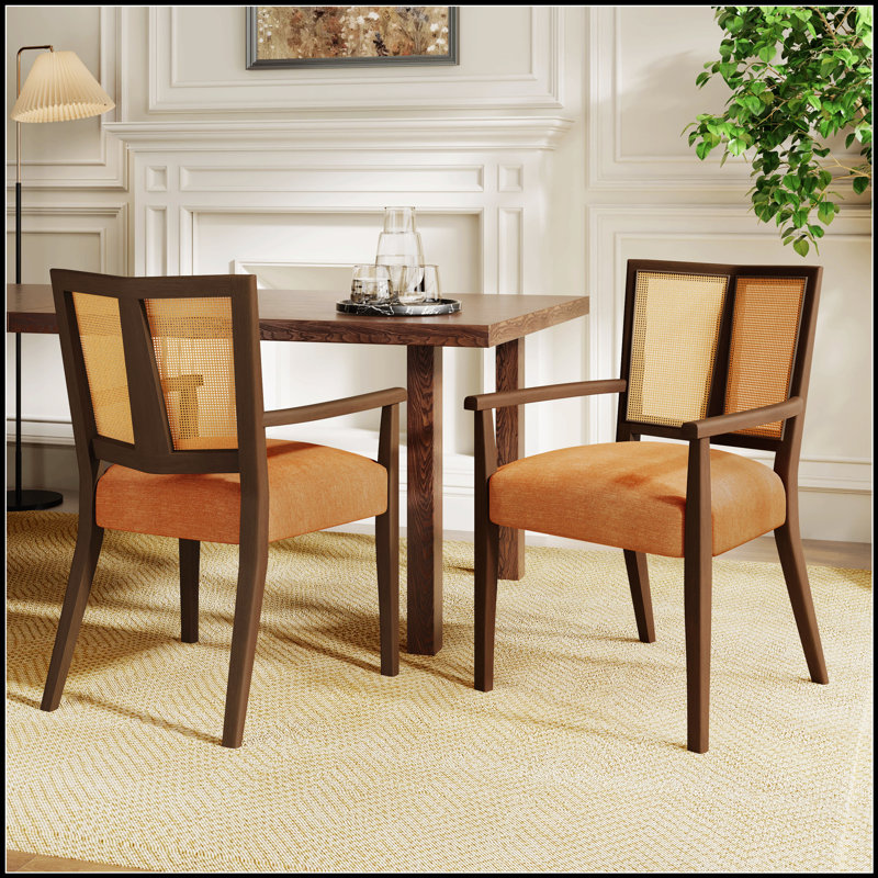 Ensemble de 2 chaises de salle à manger élégantes en rotin avec accoudoirs à dossier, durables et confortables pour les intérieurs modernes