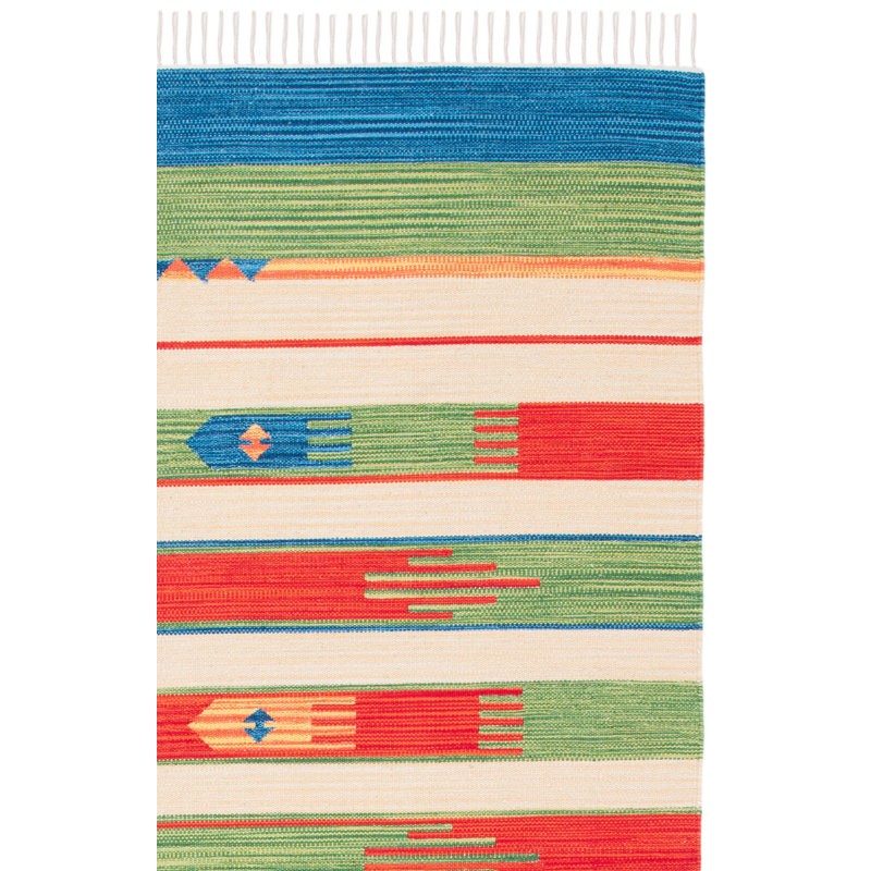 Barela Hand Woven Cotton Southwestern Rug, Rectangle 8' x 10'