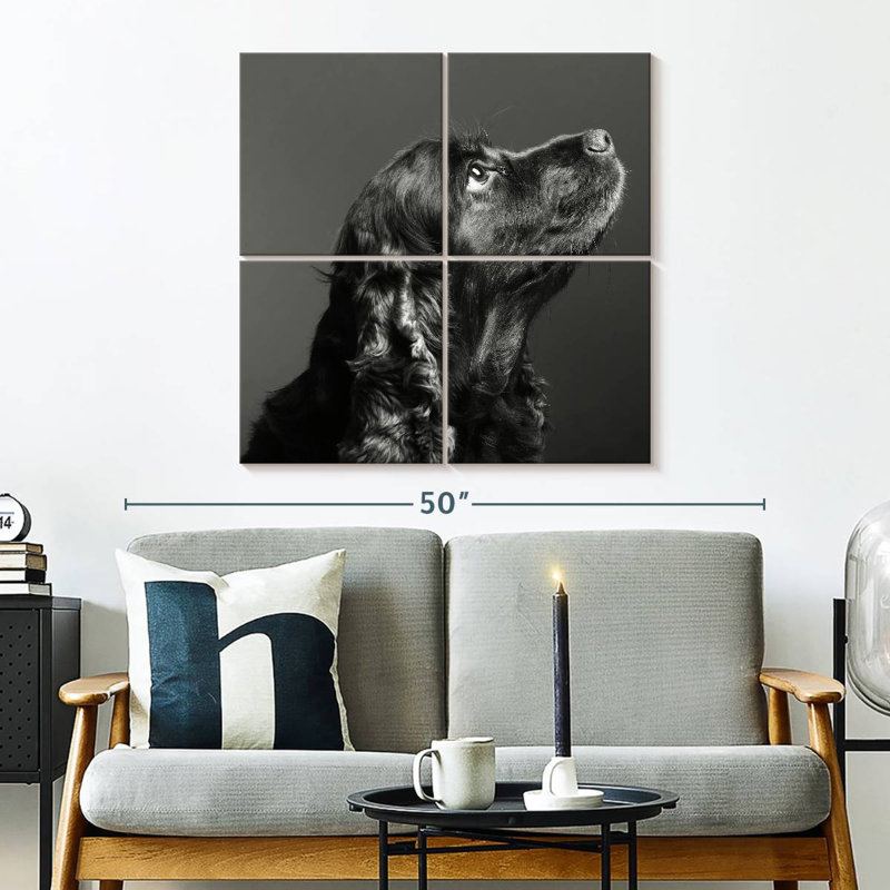 Brampt chien noir brillant, H 32 po x l 32 po