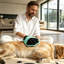 Gants pour animaux-131216273