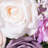 Program Kit for Wedding Decoration
