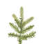 6.5' H Christmas Tree