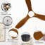 132cm Ceiling Fan with LED Lights-1279611145-1279611144