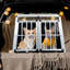 Cage de transport pour animaux en aluminium à double porte