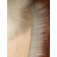 Tapis blanc cassé Wiersma-2125080994