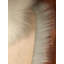 Tapis blanc cassé Wiersma-2125081016