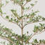 Olive artificielle noire en pot, plantes en pot réalistes pour la décoration intérieure et extérieure-1184882191