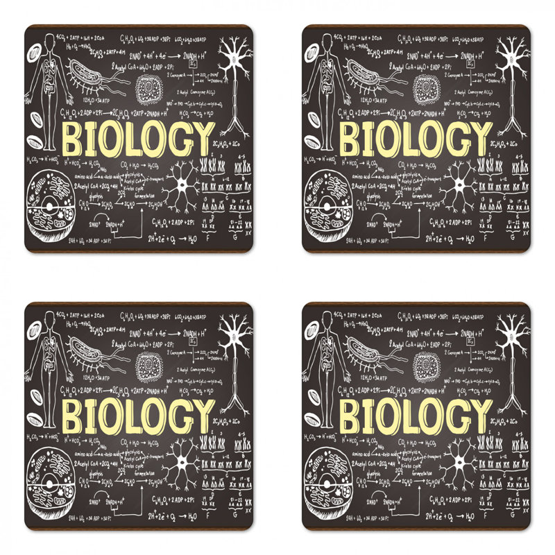 Square 4 Piece Coaster Set