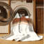 Tapis beige moderne lavable à la machine Parez Buckingham Palace London - reliure beige-865379272