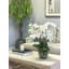 Phalaenopsis Floral Arrangement