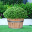 Handmade Wood Barrel Planter-2027707625