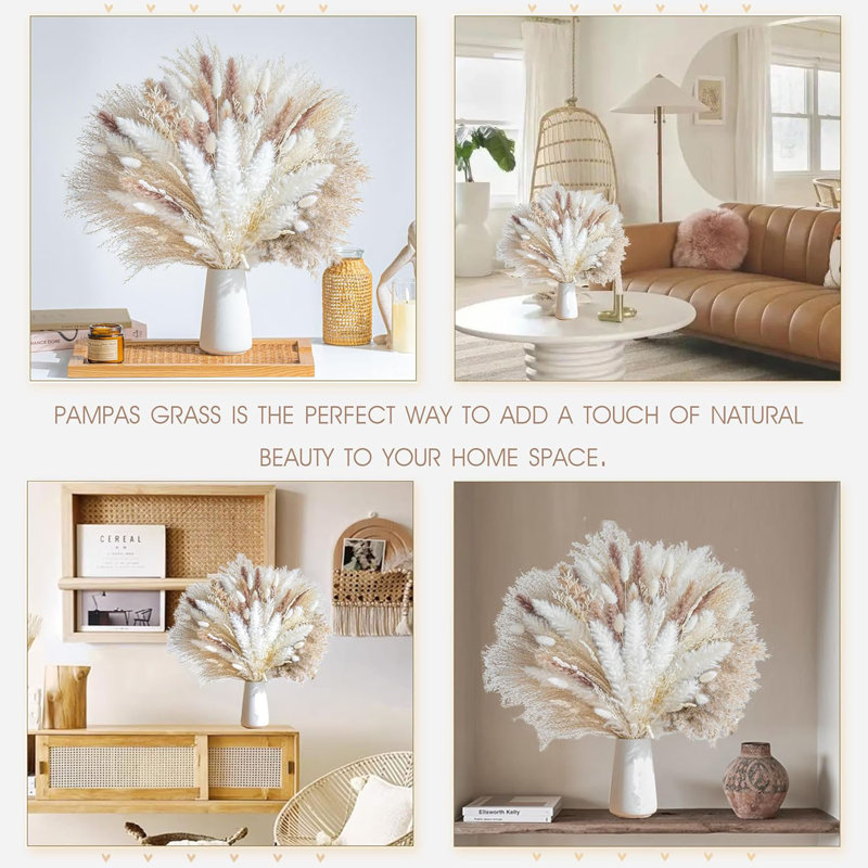Didadi, 650 pièces d'herbe de pampa séchée naturelle, phrases de boho séchées pour des arrangements floraux de mariage, décorations de salon (650 pièces)