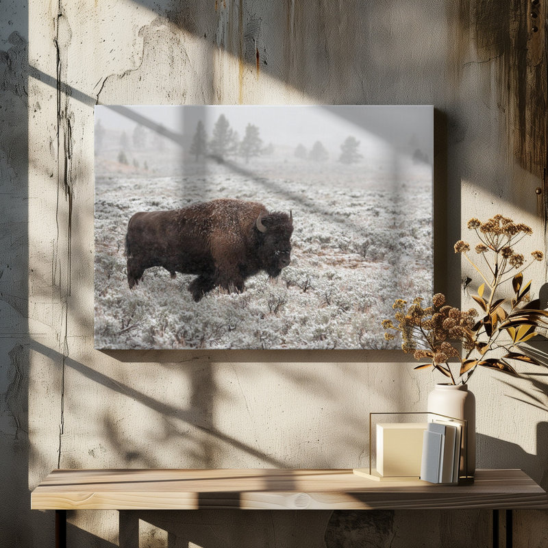 Wrapped Canvas Print