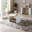 Console 47,9 po Pontus