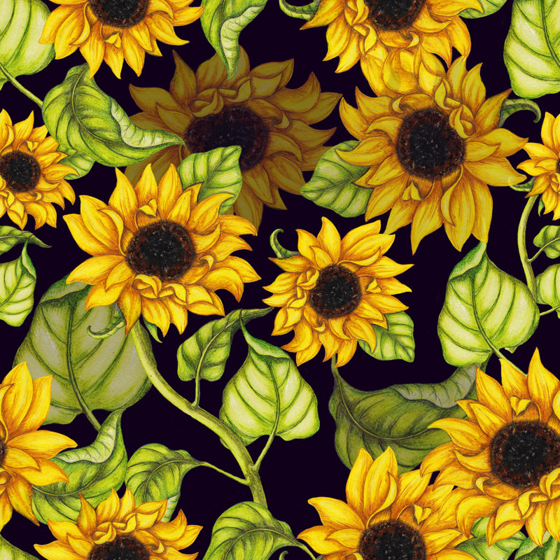 Modèle sans couture de tournesols par Arevka, H 12 po x l 12 po