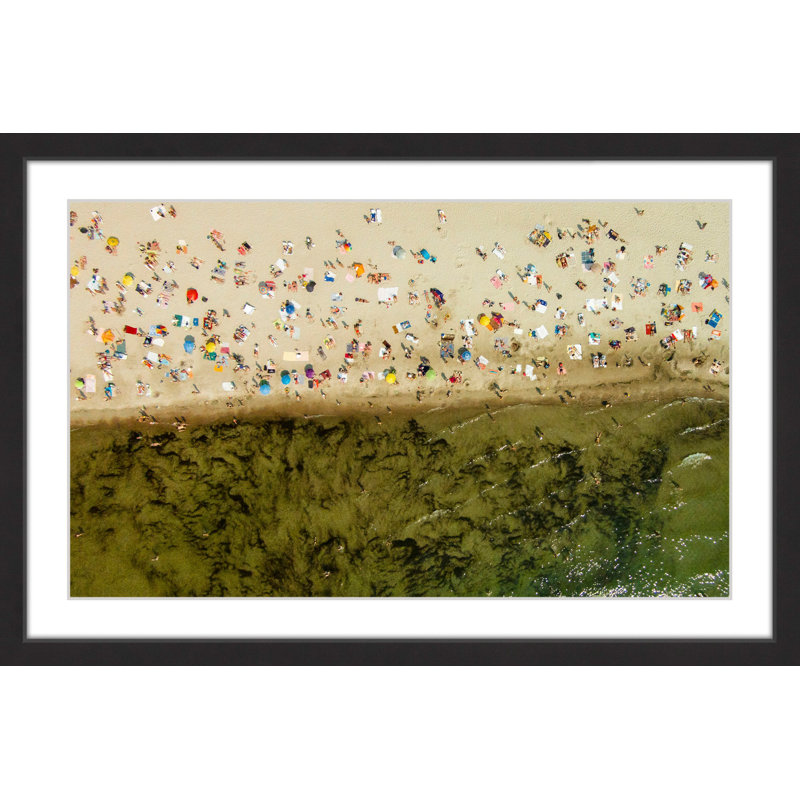 " Seaweed " by Karolis Janulis, 16" H x 24" W
