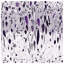 Couvre-lit matelassé mauve à motif de feuilles et de pois toutes tailles-126173886