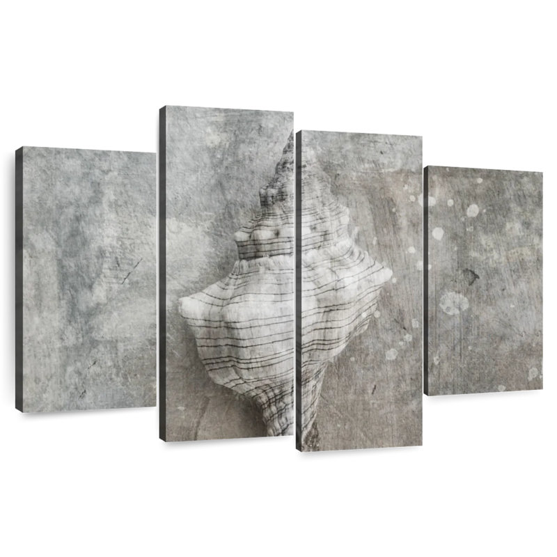 Conch Gray Seashell, 22" H x 36" W