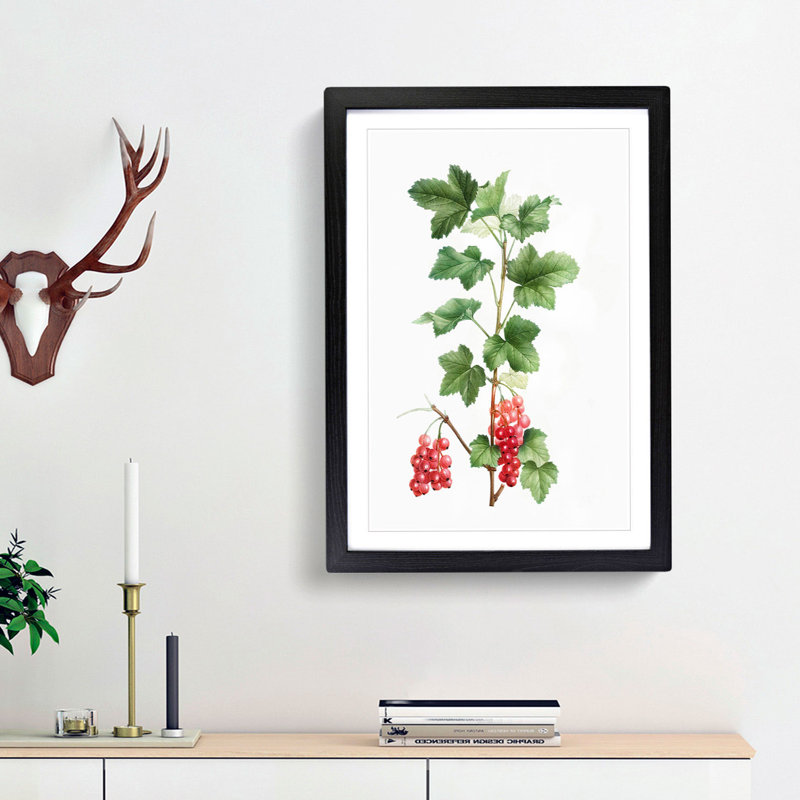 Redcurrant Flowers by Pierre-Joseph Redoute - Picture Frame Painting Print, 65cm H x 48cm W x 2cm D, Black Framed