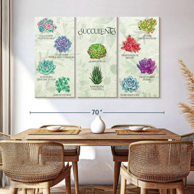 Tableau des plantes grasses Harnek, H 36 po x l 57 po