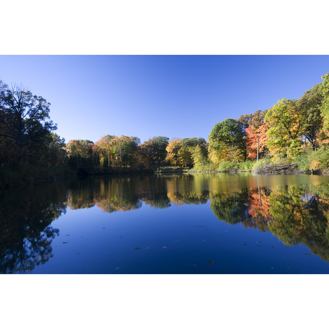 Autumn Lake In Illinois von Stevegeer - Kunstdrucke auf Leinwand ohne Rahmen