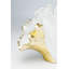 Vase Ginkgo Elegance 45cm