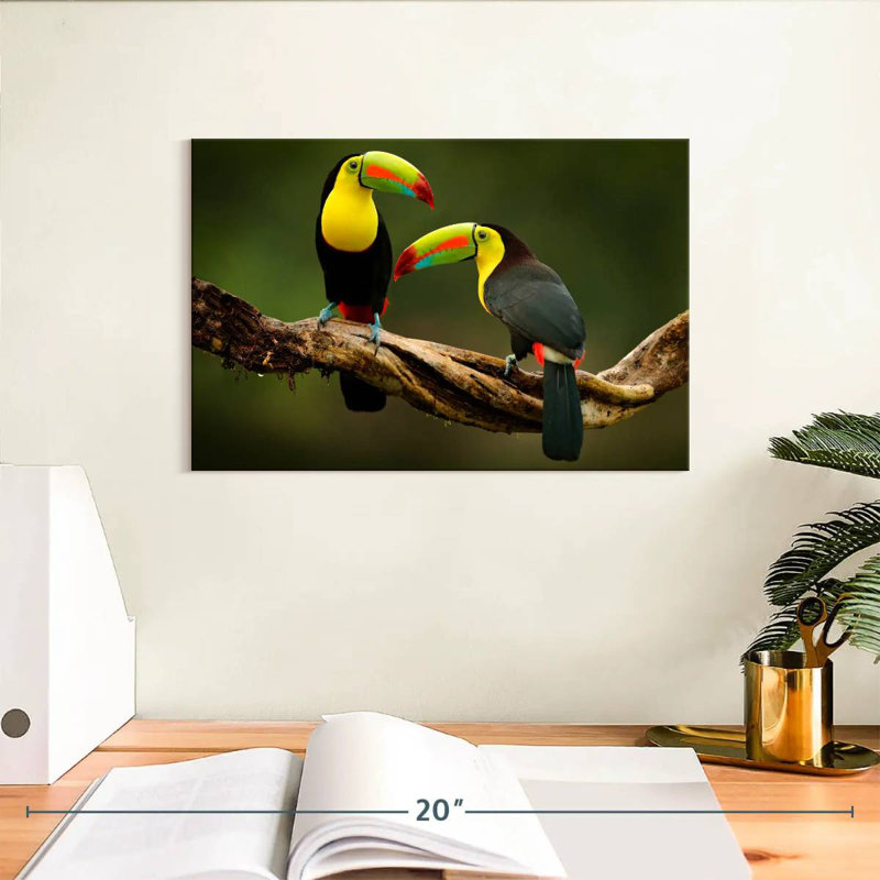 Brampt Toucans On Branch, 8" H x 12" W