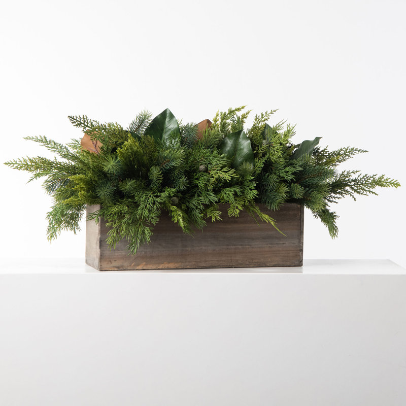 Arrangements floraux en pot