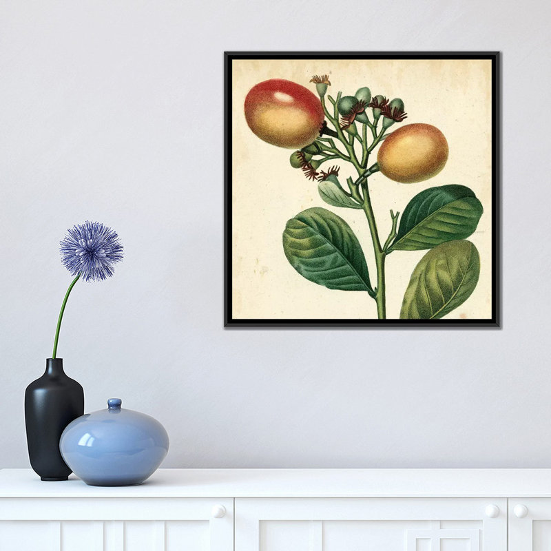 « jardin prime i », reproduction d’art sur toile tendue, H 18 po x l 18 po x P 1,5 po, Toile avec cadre flottant noir
