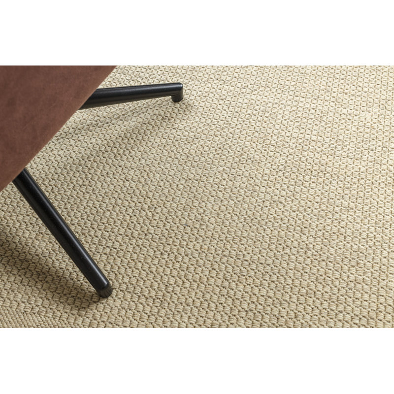 Paolina Solid Colour Wool Flatweave Area Rug, Rectangular 120 x 170 cm
