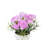20cm Flowering Tree-25658664
