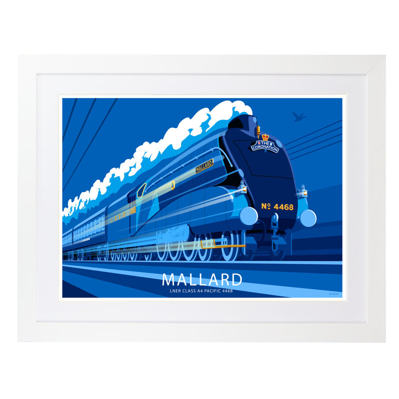 Mallard by Stephen Millership - Print, White, 33.5cm H x 43.5cm W x 2.2cm D