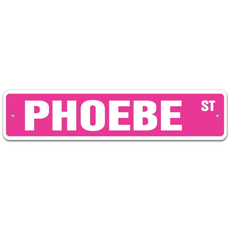 Plaque de rue Gunther, H 6 po x l 24 po x P 0,1 po