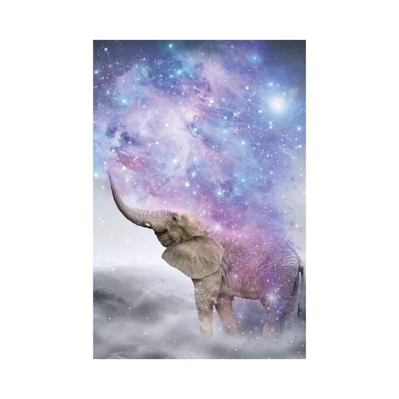 Elephant - Dust Galaxy - Wrapped Canvas Print, 20.32 cm H x 30.48 cm W