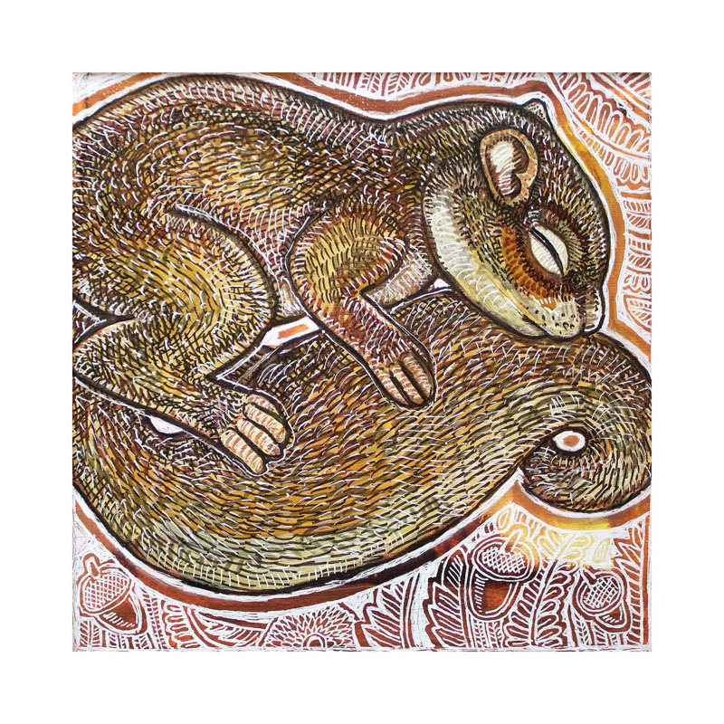 Dreaming Squirrel by Lynnette Shelley - Wrapped Canvas Print, 45.72 cm H x 45.72 cm W x 1.91 cm D