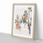 Floral Print by Chen Shizeng - Framed Print-55576461-55576464