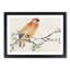 Parrot by Ren Yi - Framed Print-55578326-55578331