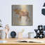 «Moose Study» par Studio Mousseau-21775714