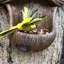 Mangeoire d'oiseaux décorative Pinesdale