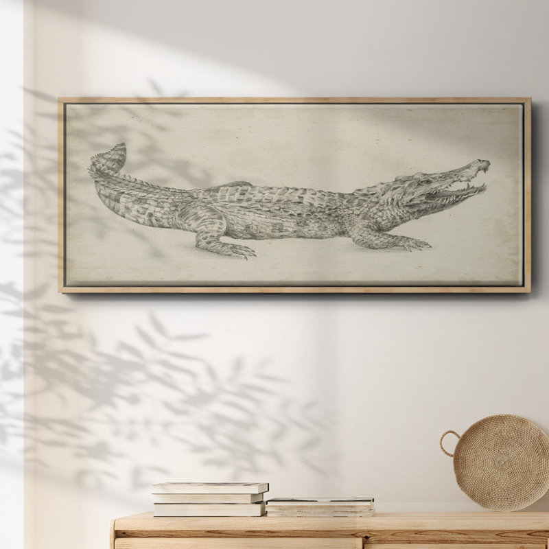 Croquis de crocodile - toile encadrée, H 8 po x l 20 po