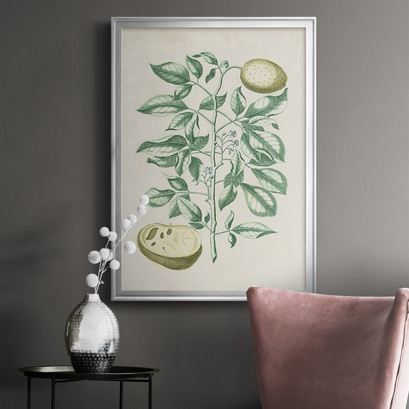 Buchoz Tropicals III, reproduction d'art encadrée, H 42,5 po x l 30,5 po x P 1 po, Argent