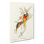 Splendid Grass-Parakeets by Elizabeth Gould - Wrapped Canvas Painting-55318775