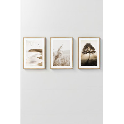 Ensemble de 3 peintures élégantes encadrées décoratives, 12,9 po x 18,9 po | Cadre 100% bois massif (épaisseur: 0,8 pouce), œuvre d'art 100% MDF | Impression numérique éclatante, parfaite pour la décoration de salon et de bureau