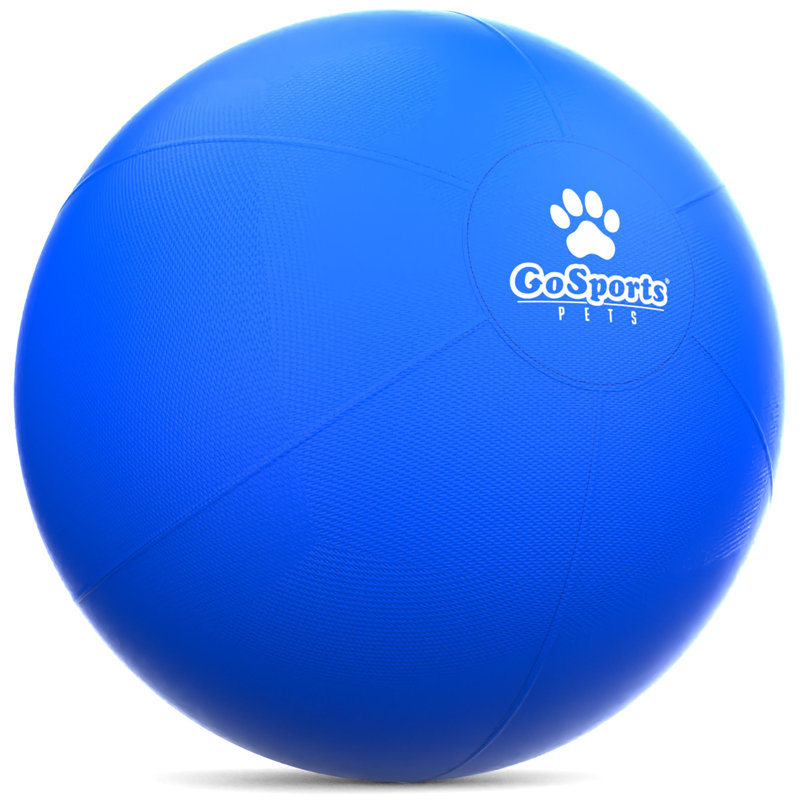 Balle de bout pour chien GoSports