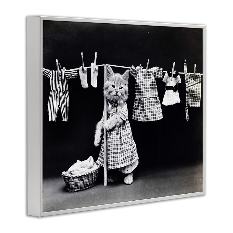 Kitten Does the Laundry Graphic Art Print, 11" H x 14" W, Coastal White Framed Giclee