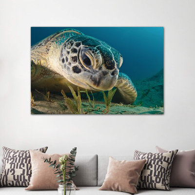 " Gaze " Print