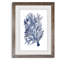 «Seaweed Under Water II», reproduction sur verre encadrée-678182312-678182224