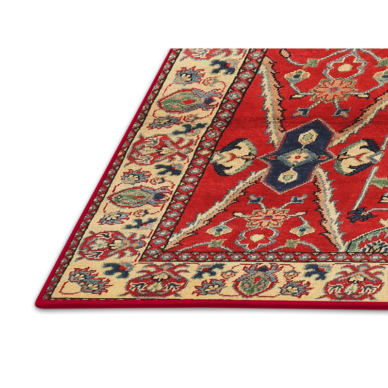 Oriental Indoor Rug, Rectangle 5' x 7'