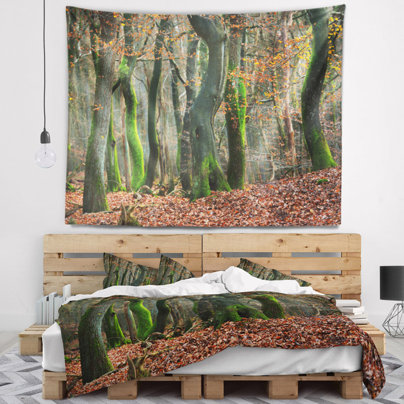 Paysage, forêt d'automne aux Pays-Bas, H 32 po x l 39 po